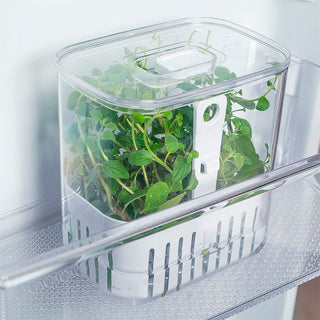 Organizador de Temperos para Geladeira Clear Fresh com Cesto 1,5L