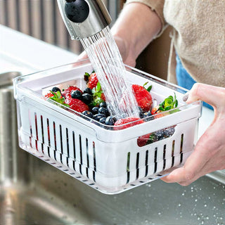 Kit 8 Organizadores de Geladeira e Armário + Porta Frios + Porta Ovos