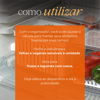 Organizador de Alimentos 6,8L com Cesta ou Tela