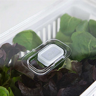 Kit 2 Organizadores de Geladeira Acrílico com Tampa e Cesto Drenagem Clear Fresh 5 Litros - OU 