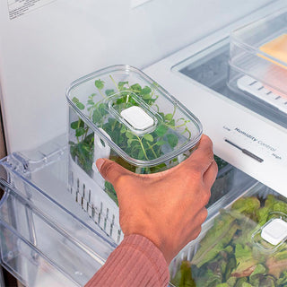 Organizador de Temperos para Geladeira Clear Fresh com Cesto 1,5L